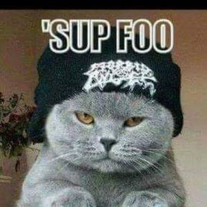 Meet your Posher, Chad